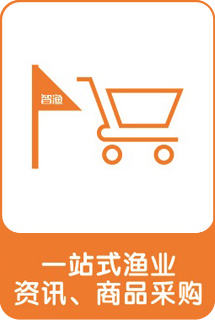 &#20122;&#26032;&#32593;&#31449;&#95;&#20122;&#26032;&#40;&#20013;&#22269;&#41;