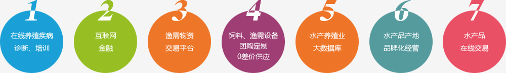 &#20122;&#26032;&#32593;&#31449;&#95;&#20122;&#26032;&#40;&#20013;&#22269;&#41;